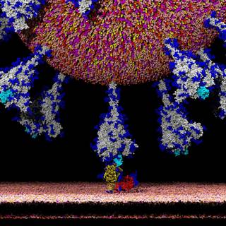 Covid Carl wallpaper