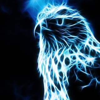 Black falcon wallpaper