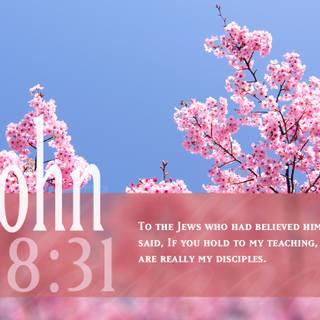 Biblical quotes wallpaper