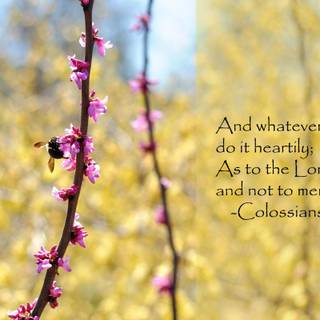 Biblical quotes wallpaper