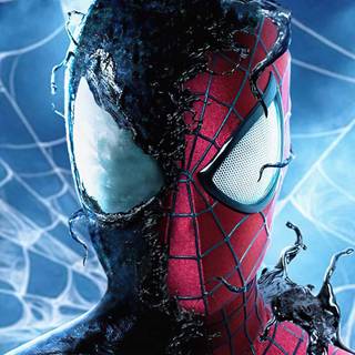 Spider-Man PFP wallpaper