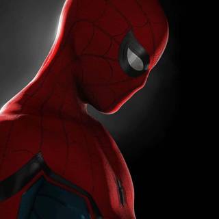 Spider-Man PFP wallpaper