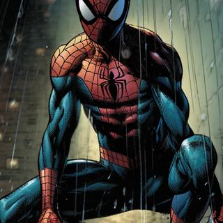 Spider-Man PFP wallpaper