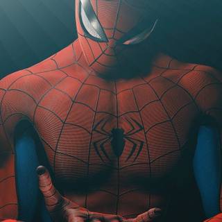 Spider-Man PFP wallpaper