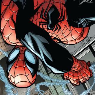 Spider-Man PFP wallpaper