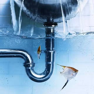 Water pipe wallpaper