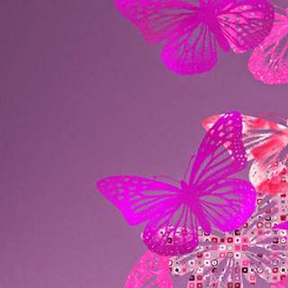 Pink butterfly HD iPhone wallpaper