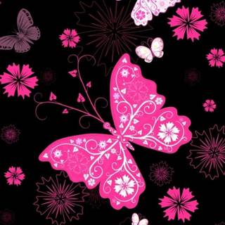 Pink butterfly HD iPhone wallpaper