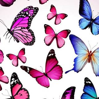Pink butterfly HD iPhone wallpaper