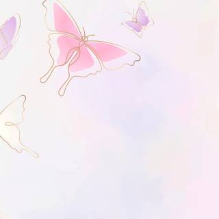 Pink butterfly HD iPhone wallpaper