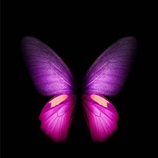Pink butterfly HD iPhone wallpaper