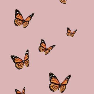 Pink butterfly HD iPhone wallpaper