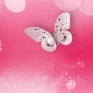 Pink butterfly HD iPhone wallpaper