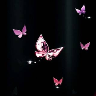 Pink butterfly HD iPhone wallpaper