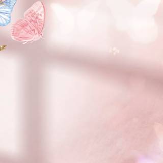 Pink butterfly HD iPhone wallpaper