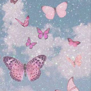 Pink butterfly HD iPhone wallpaper