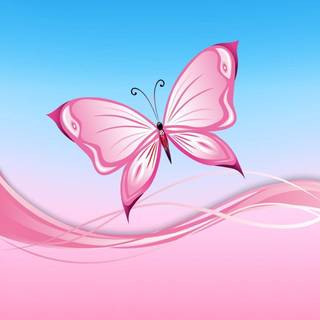Pink butterfly HD iPhone wallpaper