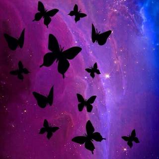 Pink butterfly HD iPhone wallpaper