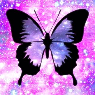 Pink butterfly HD iPhone wallpaper