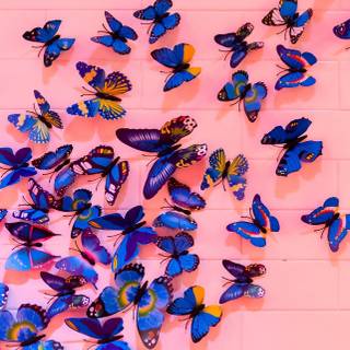 Pink butterfly HD iPhone wallpaper