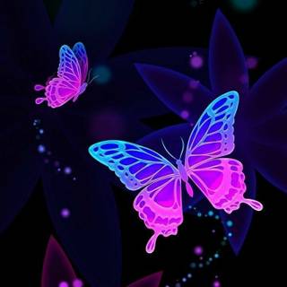 Pink butterfly HD iPhone wallpaper