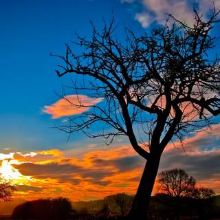 Best PC 4k wallpaper