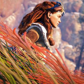 Horizon Zero Down 4k wallpaper