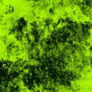 Green texture 4k wallpaper