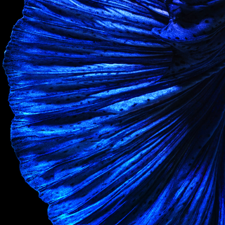 Huawei P30 Pro 4k wallpaper