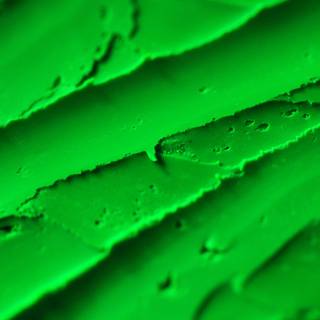 Green texture 4k wallpaper