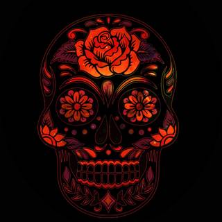 4k HD skull wallpaper