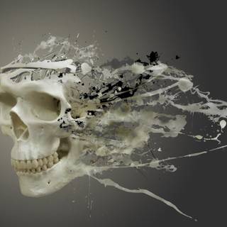 4k HD skull wallpaper