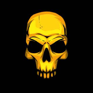 4k HD skull wallpaper