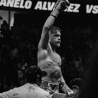 Boxing belts wallpaper