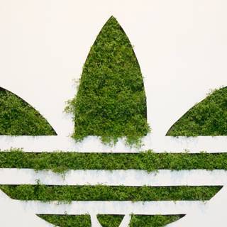 Adidas logo 4k wallpaper