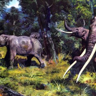 Prehistoric animals wallpaper