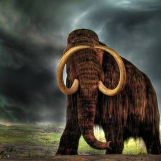Prehistoric animals wallpaper