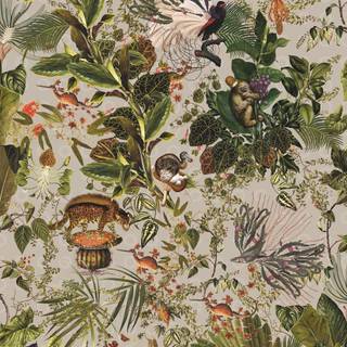 Prehistoric animals wallpaper