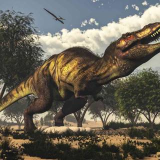 Prehistoric animals wallpaper