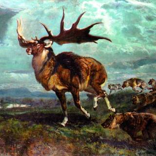 Prehistoric animals wallpaper