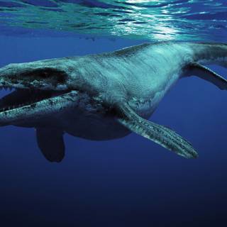 Prehistoric animals wallpaper