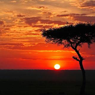 Africa sunset wallpaper