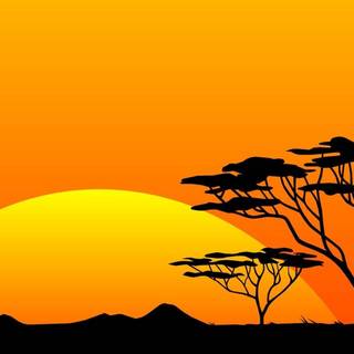 Africa sunset wallpaper