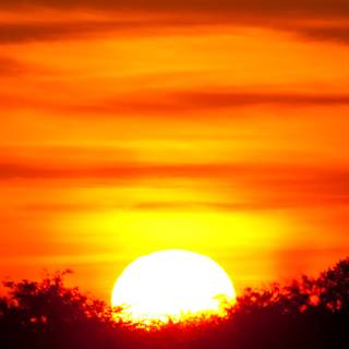 Africa sunset wallpaper