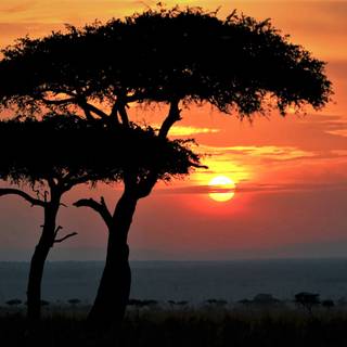 Africa sunset wallpaper