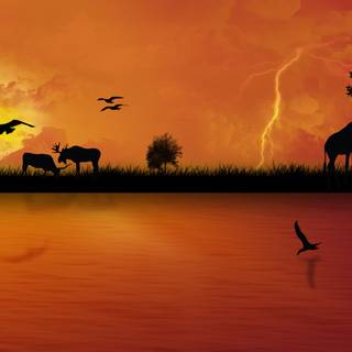 Africa sunset wallpaper