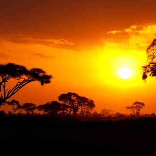 Africa sunset wallpaper