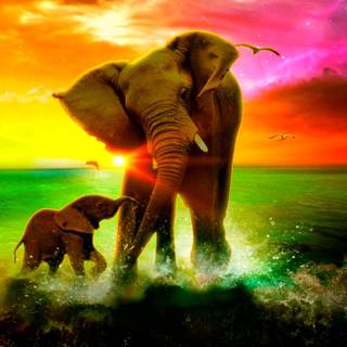 Asian elephants wallpaper
