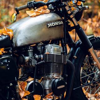 Honda Cafe Racer wallpaper