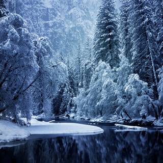 Snowy lake wallpaper